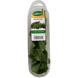 JARD-PRINTEMP HERBE FRAI MENTHE BARQUETTE 30G