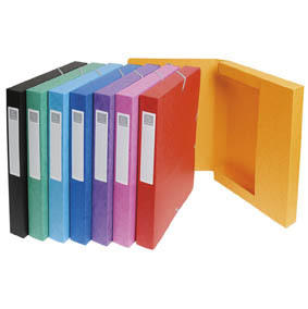 SANS MARQUE BOITE DE CLASSEMENT A ELAST DOS DE 25 MM 240X320 CARTE LUSTREE P E F C