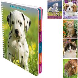 ANIMAUX DOMESTIQUES/SAUVAGES CAHIER DE TEXTES RELIURE INT 170X220 148 P SEYES VELIN SURFIN 70G ONGL