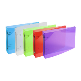 EXACOMPTA CLASSEUR FICHE BRISTOL 100X150 POLYPRO TRANSLUCIDE COULEURS ASSORT