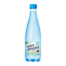 SAINT AMAND EAU MINÉRALE NATURELLE PÉTILLANTE PET 0,5L ST AMAND