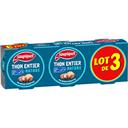 SAUPIQUET THON ENTIER NATURE MSC SAUP X3