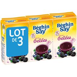 BEGHIN SAY SPECIAL GELEE AU SUCRE BLANC LOT 3X1KG