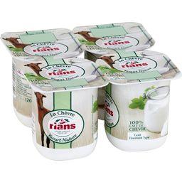 RIANS YAOURT DE CHÈVRE NATURE RIANS 4X120G