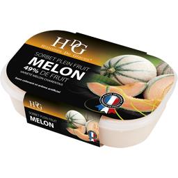 HDG SORBET 750M MELON