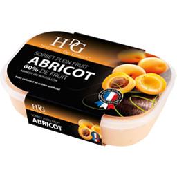 HDG SORBET VRAC 750M ABRICOT C