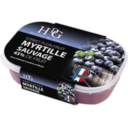 HDG SORBET VRA B.PLA 750M GLACE FML