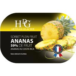 HDG SORBET STD B PLA 1X 750M ANANAS GLACE FML
