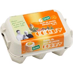COQUY OEUF FRAIS GROS DATE 6