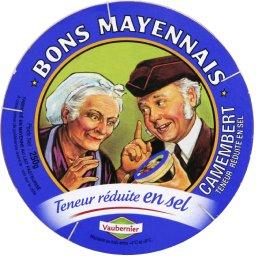 BON-MAYENNAIS CAMEMBERT PAST AOC 45% PCE 250G