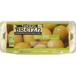 TERRES DE BREIZH BIO OEUF PREE FRAIS N IDENT B.CAR TERRES DE BREIZH BIO OEUF PREE FRAIS N IDENT B.CAR
