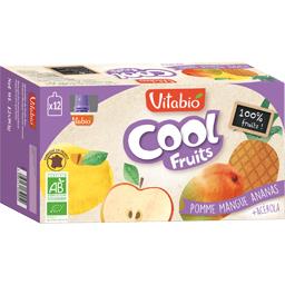 VITABIO COOL FRT POMME MANGUE ANANAS 90GX12