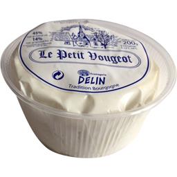 DELIN FROMAGE FRAIS SAL OPALE PT VOUGEOT NATURE 45% 200G
