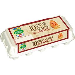 BABY-COQUE JR FRAI OEUF FRAIS GROS DATE BOITE CARTON 10
