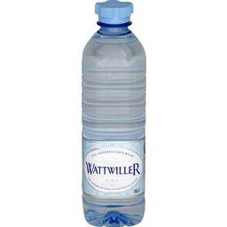WATTWILLER EAU MINÉRALE NATURELLE WATTWILLER PET 0.5L