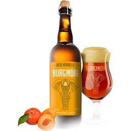 BURGINDIA Biere Blond Bouteille Verre 750ml