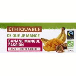 ETHIQUABLE DESSERT À LA BANANE MANGUE PASSION BIO ETHIQUETABLE 400G