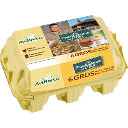AVIBRESSE LES Fermier Date Boite 6's